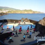 DSC02469 (Copiar)